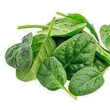 Baby spinach